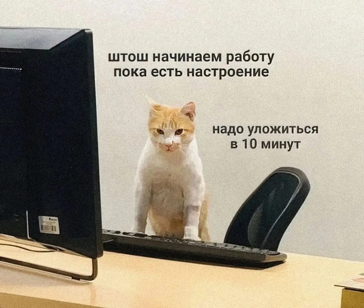 #GTМемотерапия
Повышаем хорошее настроение среди недели, пока оно ещё не исчезло окончательно ⭐
#мемы | Сетка — социальная сеть от hh.ru
