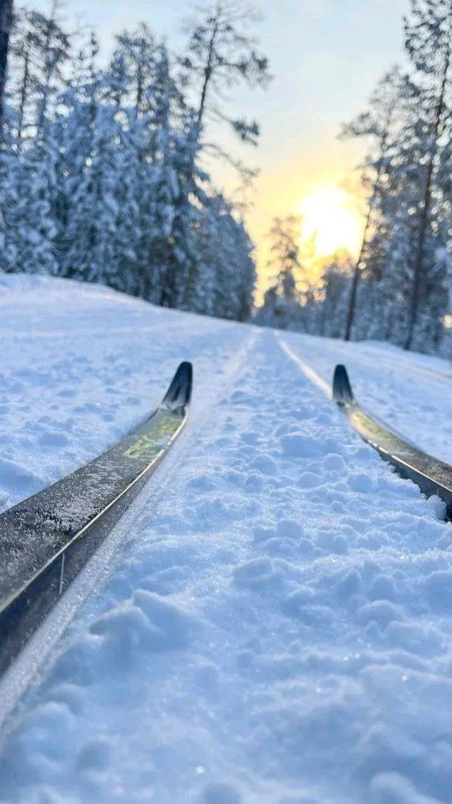 ⛷️Новая лыжная трасса у Северного речного вокзала
Ежедневно 10:00-20:00
У Северного речного вокзала открыли два кольцевых маршрута | Сетка — социальная сеть от hh.ru