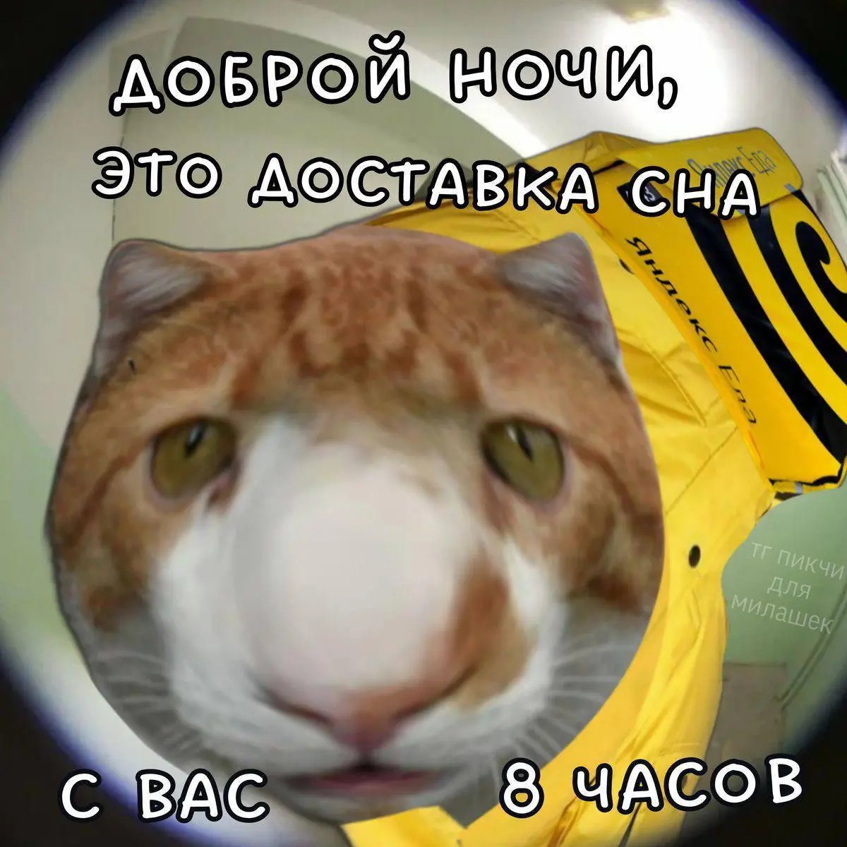 День 163
Если бы не этот челлендж, я бы по несколько дней ничего сюда не писала. Капец какие сложные времена. И находить хорошее становится все сложнее
🔤 пила вкусный чай
🔤 обнималась с Китом | Сетка — социальная сеть от hh.ru