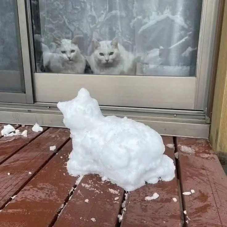 Не отличить от оригинала 😂😂😂
#Юмор@poldner #Коты@poldner | Сетка — социальная сеть от hh.ru