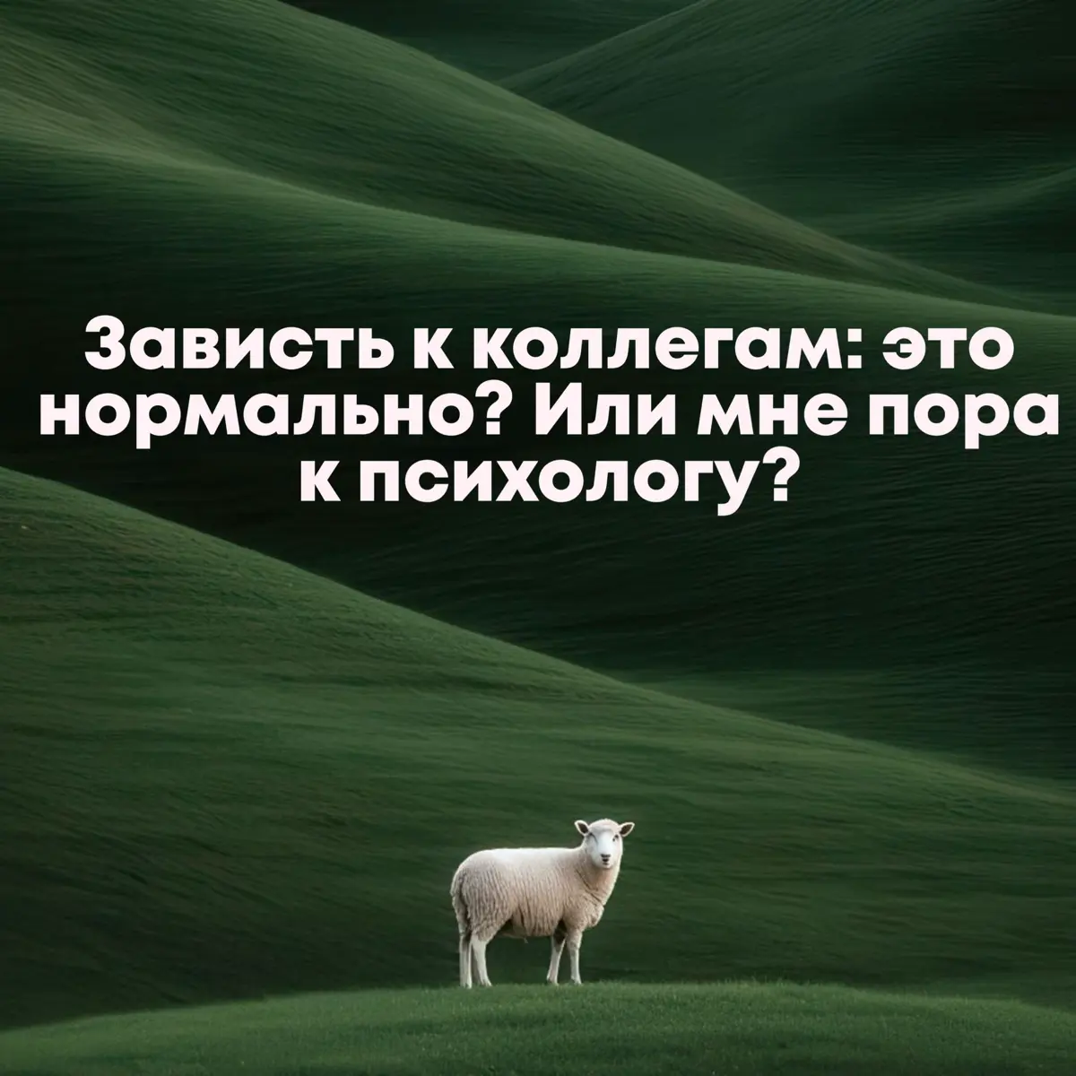 🔥Зависть к коллегам: это нормально? | Сетка — социальная сеть от hh.ru