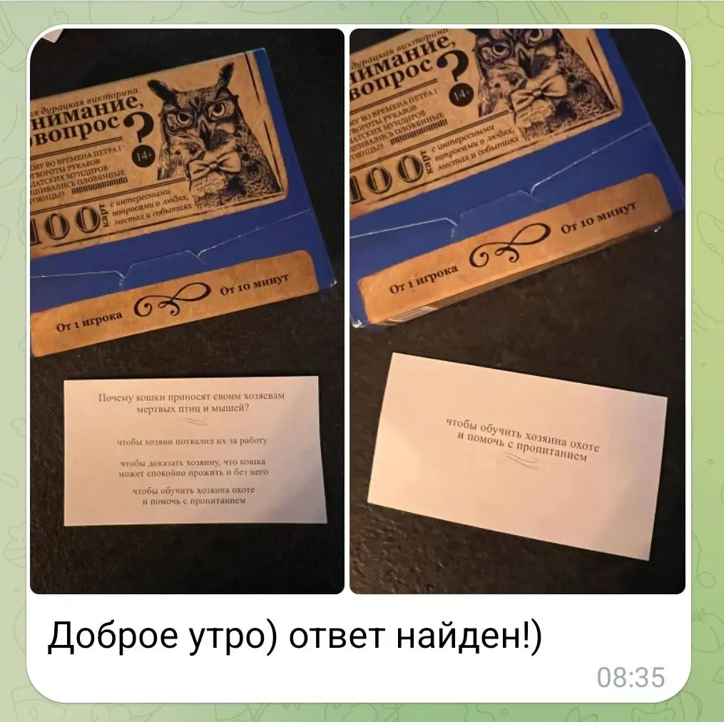 От любимого клиента Гульназ - теперь мы знаем 👍
#Коты | Сетка — социальная сеть от hh.ru