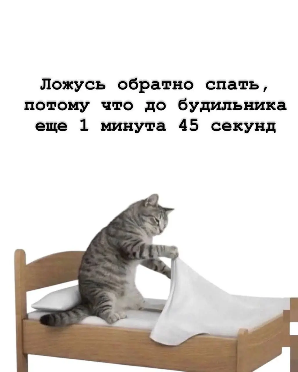 Это ведь самый приятный, самый уютный сон, вот эта вот минута сорок пять? Да? | Сетка — социальная сеть от hh.ru
