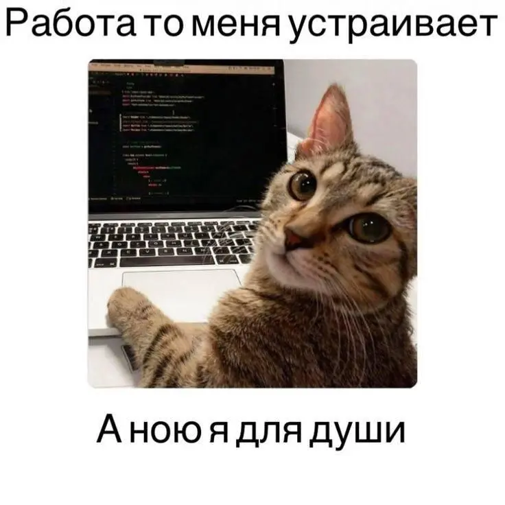 ПОЧЕМУ МЫ ДОЛЖНЫ НАНЯТЬ ИМЕННО ВАС?
❌ Ну это у вас надо спросить
✔️ Мой опыт позволяет мне приносить результат быстрее и избегать типовых ошибок | Сетка — социальная сеть от hh.ru