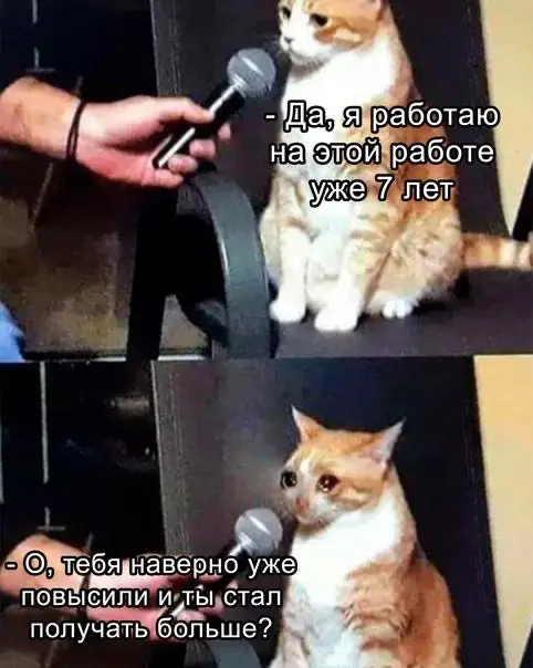 Задали болезненный вопрос: почему не повышают человека, который работает так, как от него ждут?
Он ведь не “работает плохо” | Сетка — социальная сеть от hh.ru