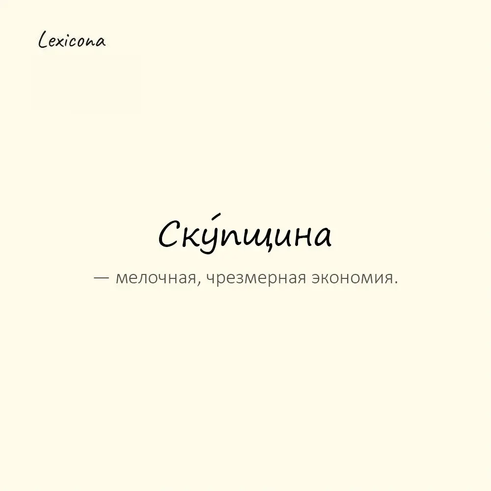 Ску́пщина — мелочная, чрезмерная экономия.
Пример употребления:
Его скупщина раздражала окружающих. | Сетка — социальная сеть от hh.ru