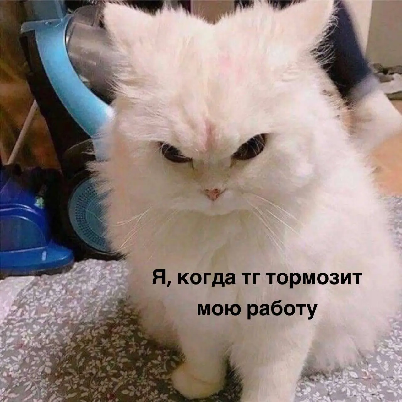 Привет друзья. Как вам новые тормоза телеграм? Уже успели заценить?
Я со вторника пребываю в культурном шоке. Не смогла загрузить минутную подложку для своего нового рилс | Сетка — социальная сеть от hh.ru