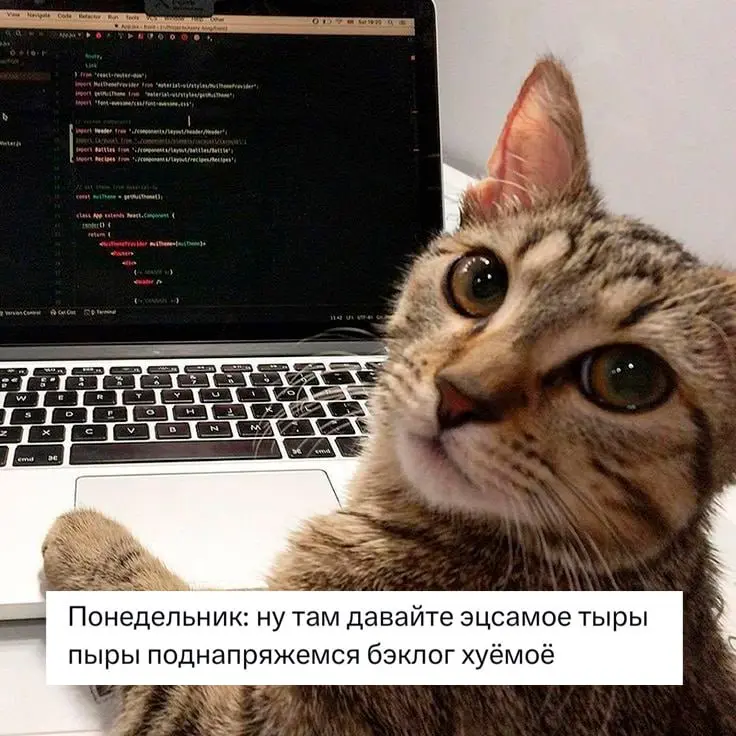 Неделя из жизни IT-конторы | Сетка — социальная сеть от hh.ru