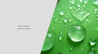 Gray & White - Skewed Slider with Scrolling - Перекошенный слайдер с прокруткой. Реализован с помощью JavaScript и CSS.
https://codepen.io/WispProxy/pen/EyLWKg | Сетка — социальная сеть от hh.ru