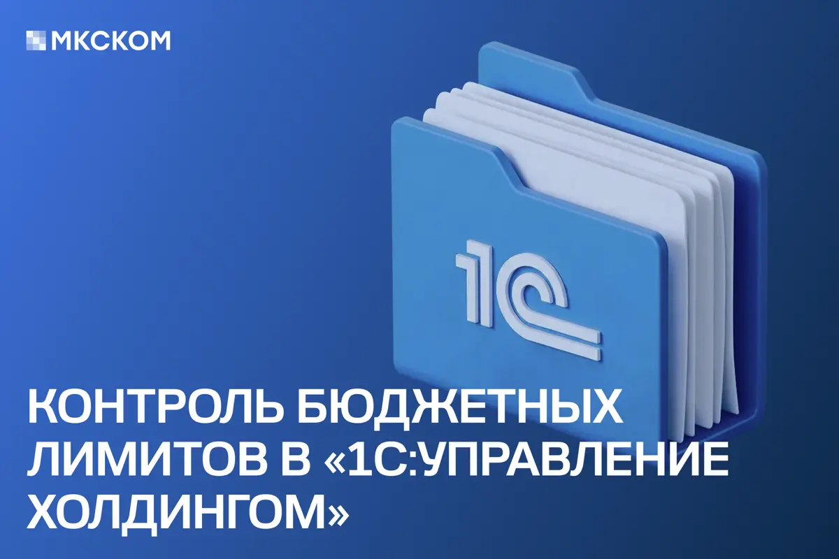 Контроль бюджетных лимитов в «1С:Управление холдингом» | Сетка — социальная сеть от hh.ru