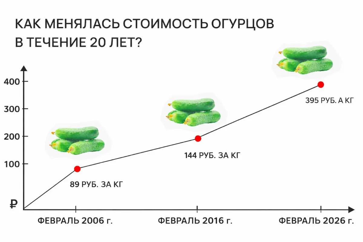 Надо было вкладываться в огурцы — за 20 лет + 440% | Сетка — социальная сеть от hh.ru