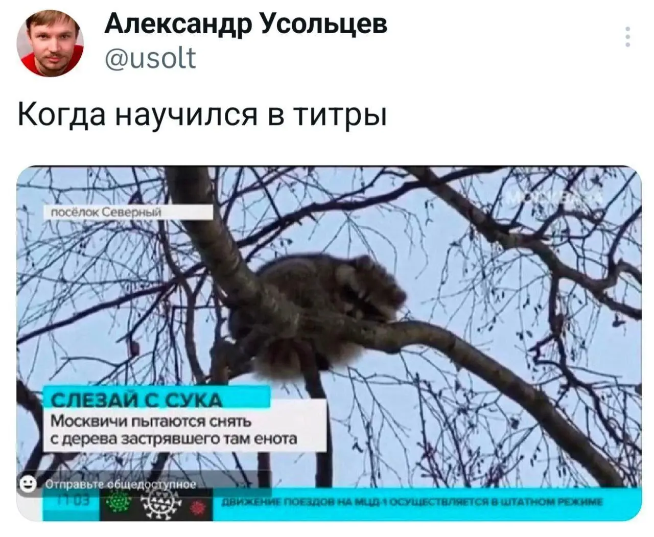 Показалось | Сетка — социальная сеть от hh.ru