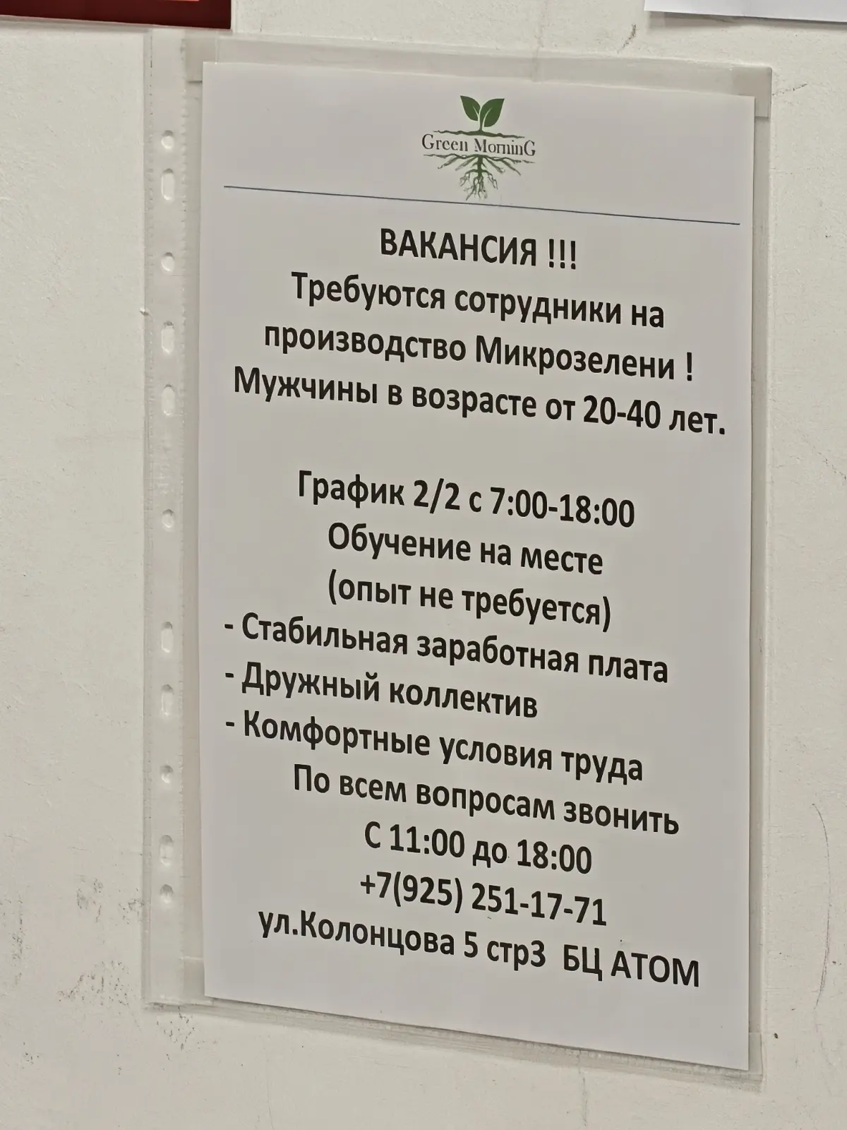 Почему даже на производство микрозелени возрастной ценз | Сетка — социальная сеть от hh.ru