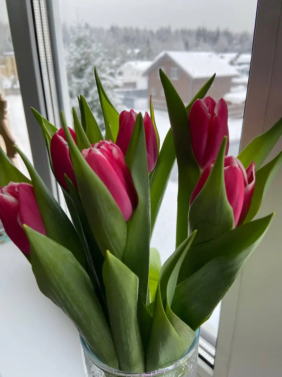 😎 Сегодня у меня день рождения | Сетка — социальная сеть от hh.ru