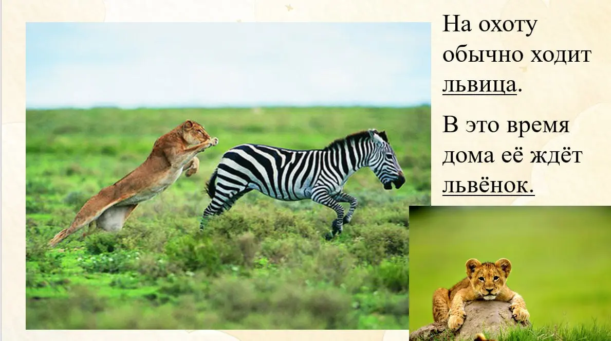 🐘А вы знали, что детеныш бегемота- это телёнок?
Всем привет! Телеграмм плохо работает, видео не грузятся, а у меня уже несколько готовых смонтировано 😢 Решила, что пока буду выкладывать полезные посты... | Сетка — социальная сеть от hh.ru