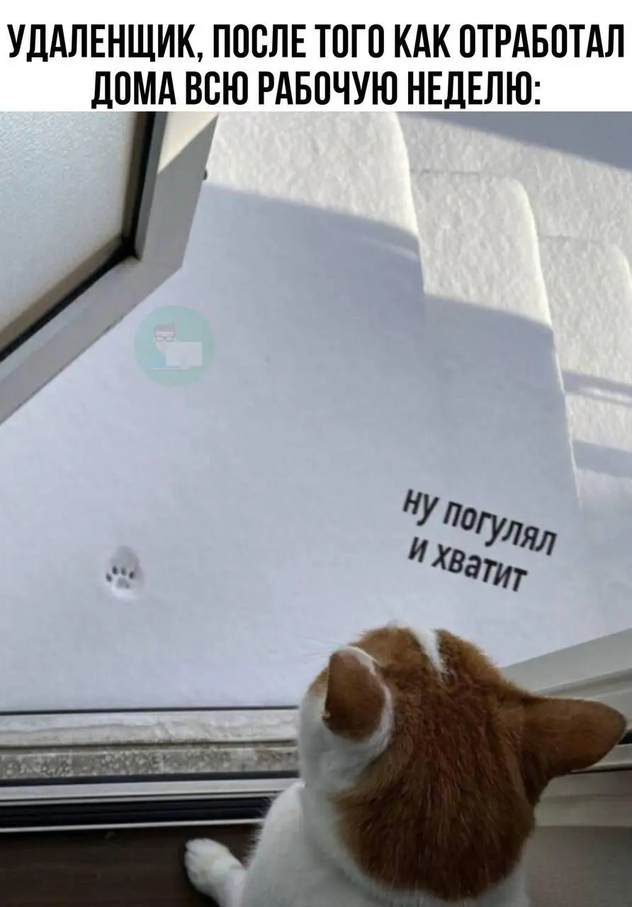 #IT
😂 ПМ 🛍 Другие каналы
В этом посте были ссылки, но мы их удалили по правилам Сетки | Сетка — социальная сеть от hh.ru