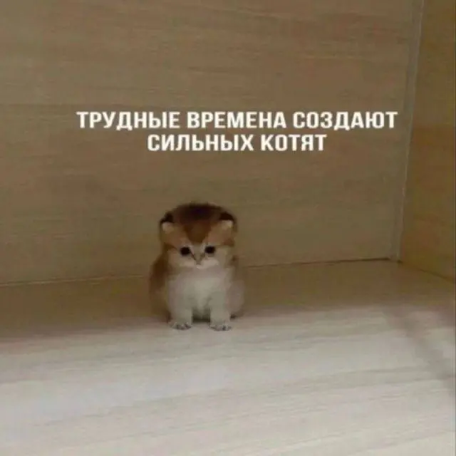 ✨ Любовь к работе и драйв, который мы выбираем сами ✨
В преддверии 14 февраля, хочу поговорить о том, как важно любить то, чем мы занимаемся | Сетка — социальная сеть от hh.ru