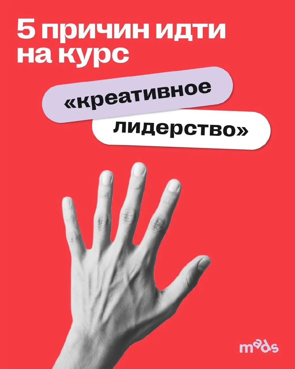 5 причин пойти на курс: найдешь свою? 😎
1️⃣ Ты уже сильный специалист, но дальше не понимаешь, куда расти
Если ты senior, руководишь людьми или проектами, рынок тебя признает, клиенты довольны, но вну... | Сетка — социальная сеть от hh.ru