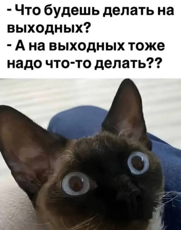 Пятница! Закрываем задачи и готовимся отдыхать!
Какие у вас планы? | Сетка — социальная сеть от hh.ru