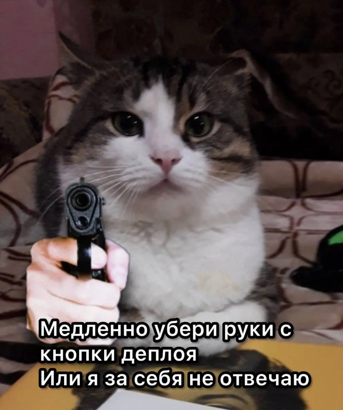 Напоминаю, сегодня пятница | Сетка — социальная сеть от hh.ru