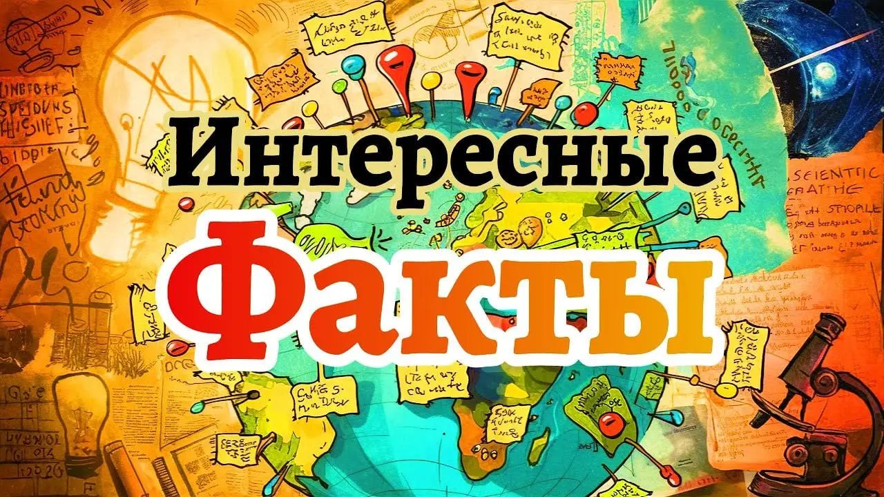 По давней пятничной традиции этого блога сегодня будут снова бесполезные, но #интересныефакты:
• Плотность человеческой головы и арбуза одинакова
• В египетских гробницах был найден сыр возрастом 4 00... | Сетка — социальная сеть от hh.ru