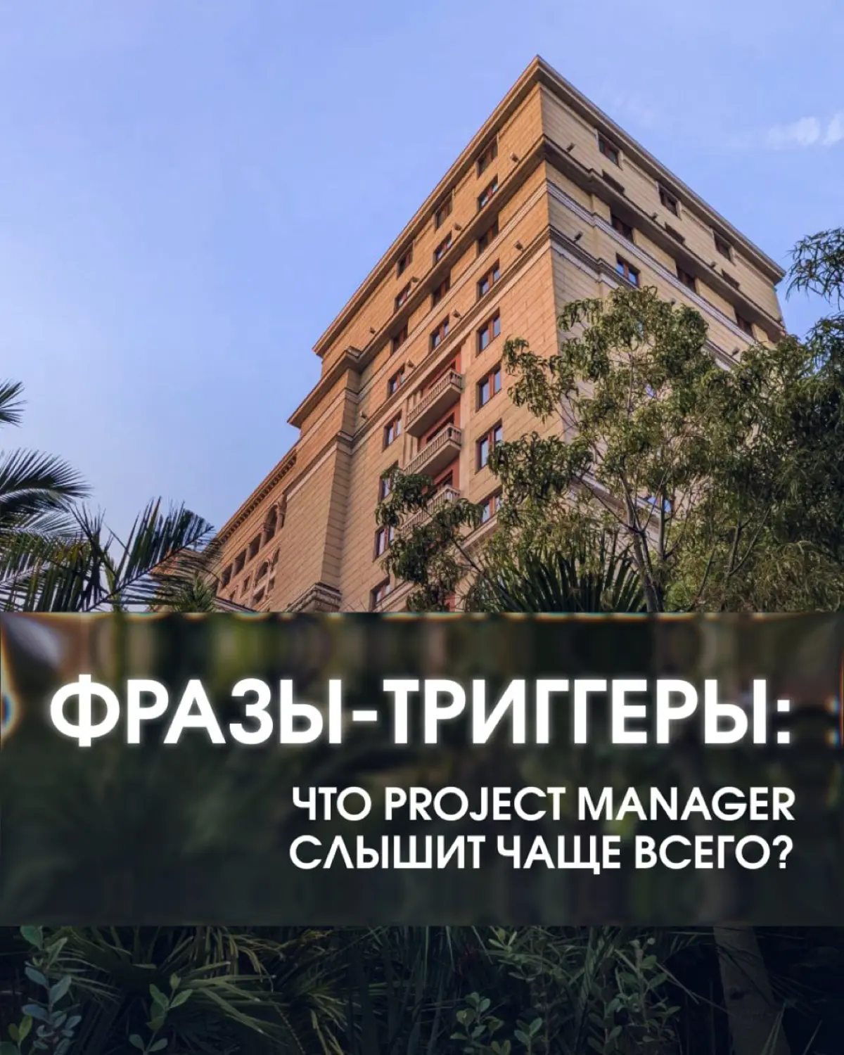 Фразы-триггеры: что project manager слышит чаще всего? | Сетка — социальная сеть от hh.ru