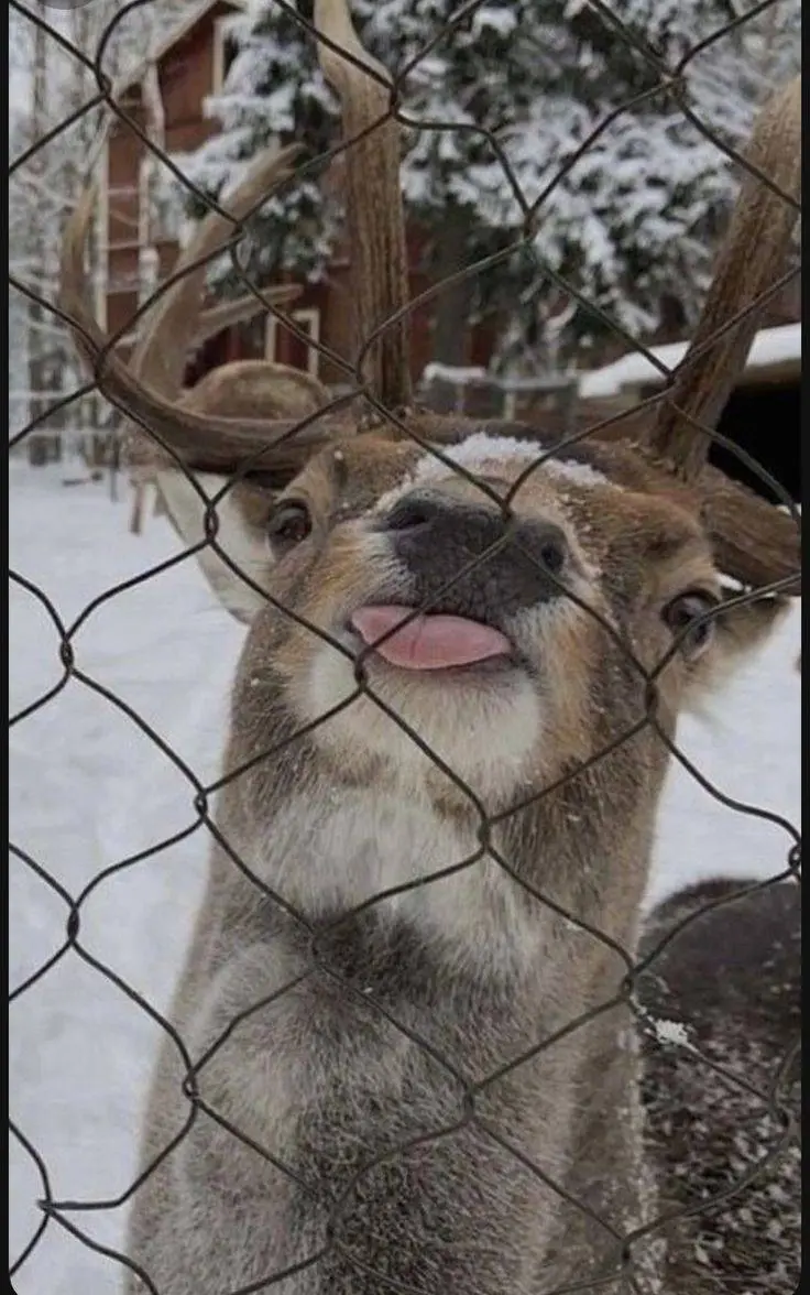 Никита Дурманов | Сетка — социальная сеть от hh.ru