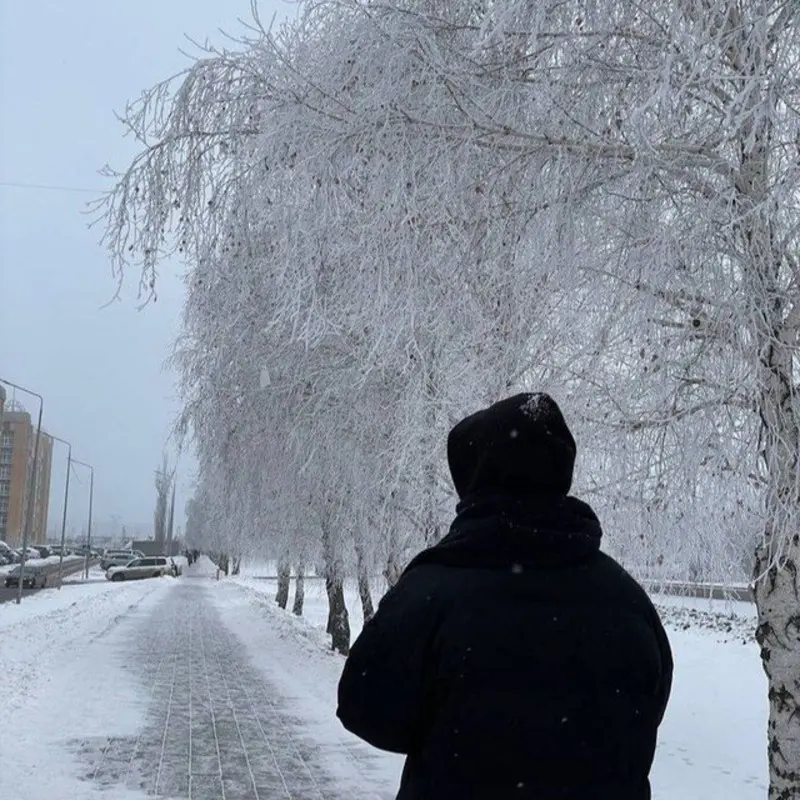 Салмон Кинг