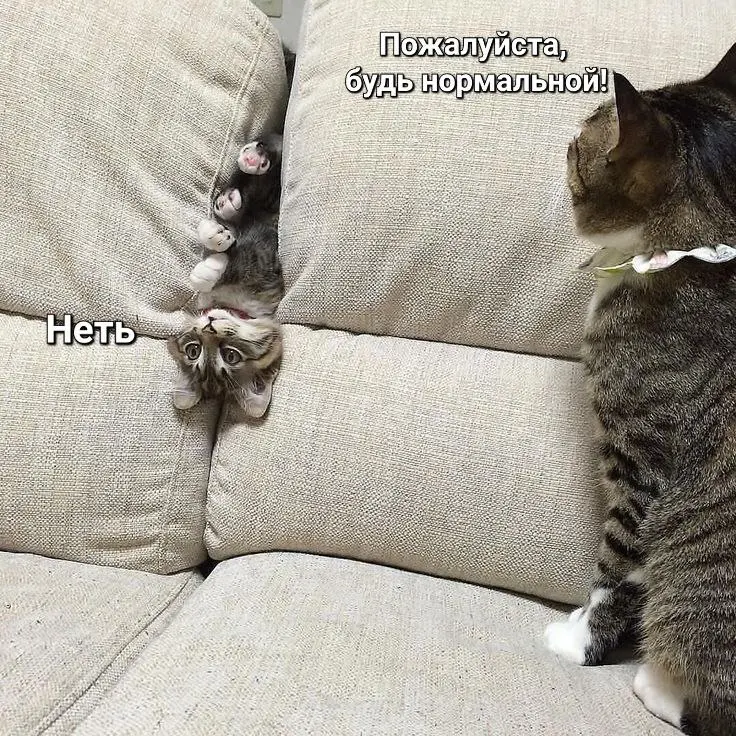 3 фразы, говорящие о любви ярче, чем: «я тебя люблю» 🥰 | Сетка — социальная сеть от hh.ru