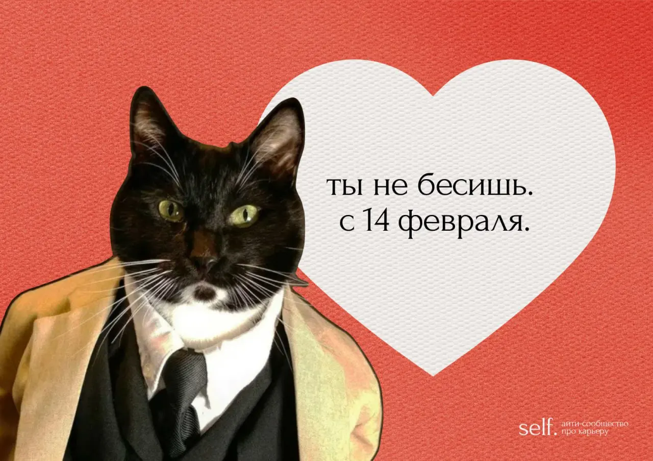 Пришла сказать, что я вас лублу ❤️
И принесла нестыдные валентинки для ваших любимых коллЭжек 🐀 | Сетка — социальная сеть от hh.ru