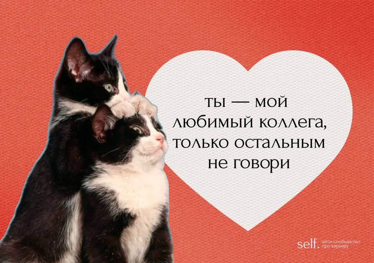 Пришла сказать, что я вас лублу ❤️
И принесла нестыдные валентинки для ваших любимых коллЭжек 🐀 | Сетка — социальная сеть от hh.ru