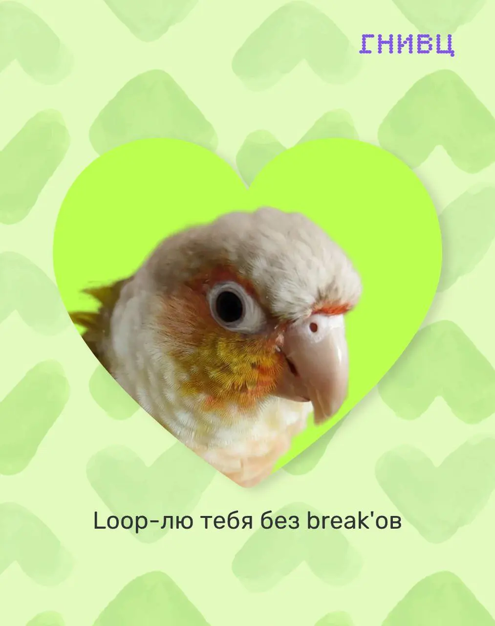Забудьте про Error 404: love not found!❤️
В IT-мире, оказывается, полным-полно романтики!
В преддверии Дня всех влюбленных мы попросили нашу команду поделиться фото своих домашних любимцев | Сетка — социальная сеть от hh.ru