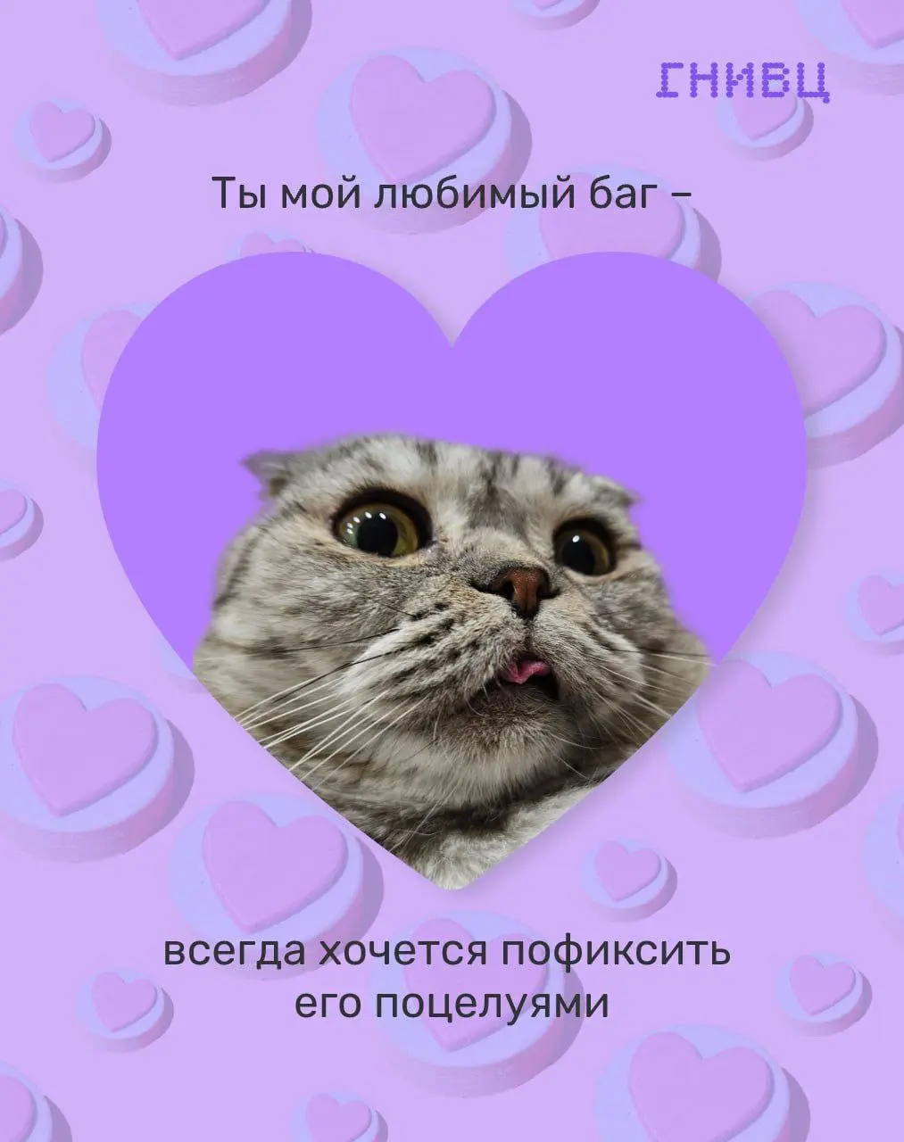 Забудьте про Error 404: love not found!❤️
В IT-мире, оказывается, полным-полно романтики!
В преддверии Дня всех влюбленных мы попросили нашу команду поделиться фото своих домашних любимцев | Сетка — социальная сеть от hh.ru