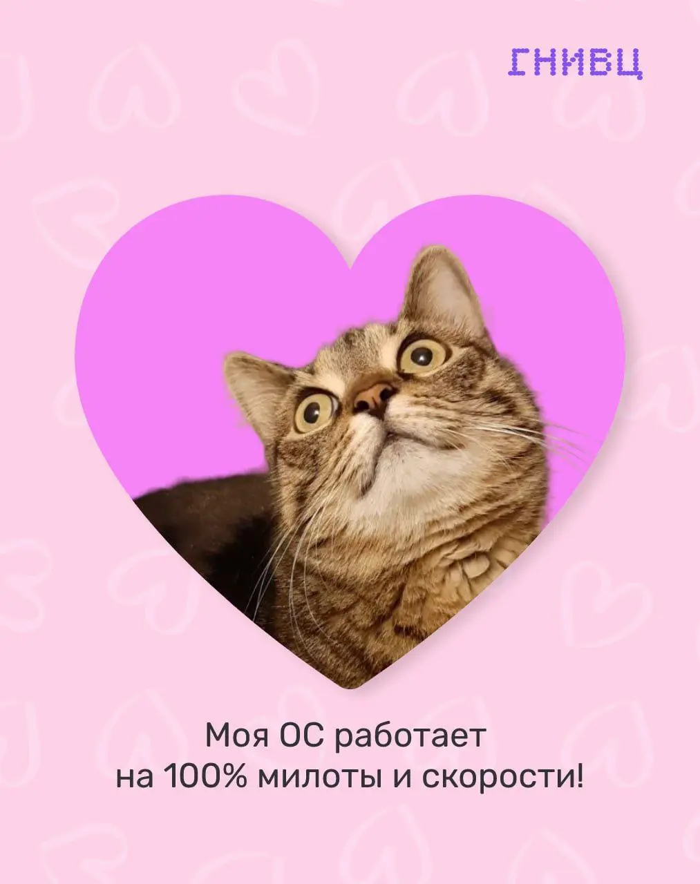 Забудьте про Error 404: love not found!❤️
В IT-мире, оказывается, полным-полно романтики!
В преддверии Дня всех влюбленных мы попросили нашу команду поделиться фото своих домашних любимцев | Сетка — социальная сеть от hh.ru