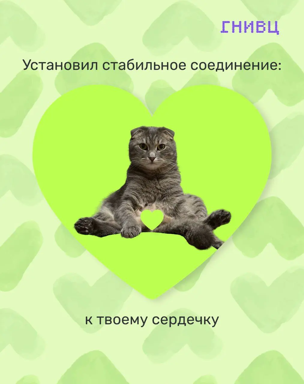 Забудьте про Error 404: love not found!❤️
В IT-мире, оказывается, полным-полно романтики!
В преддверии Дня всех влюбленных мы попросили нашу команду поделиться фото своих домашних любимцев | Сетка — социальная сеть от hh.ru