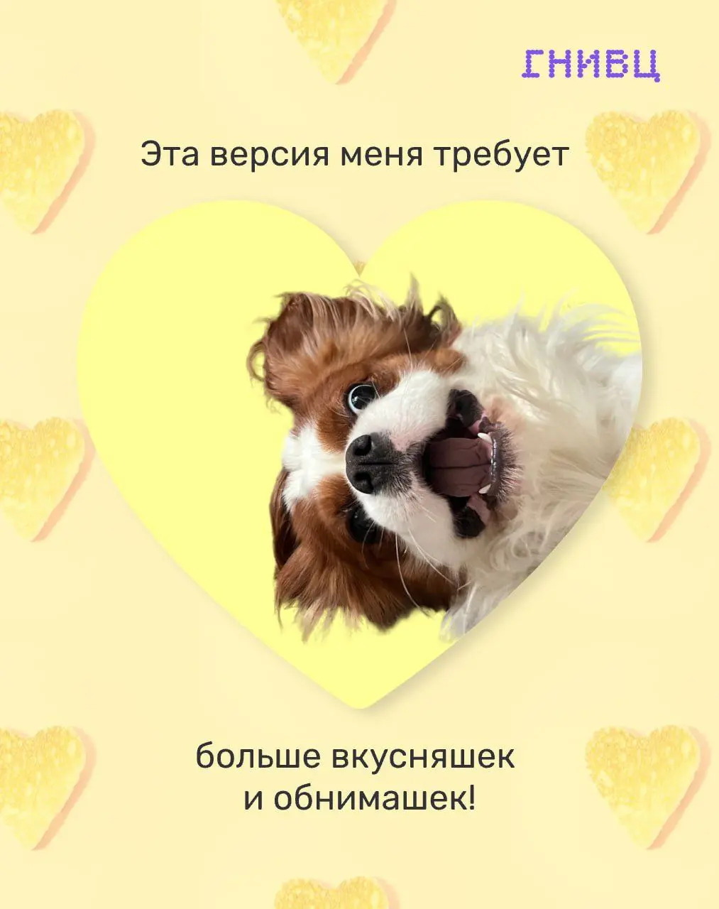 Забудьте про Error 404: love not found!❤️
В IT-мире, оказывается, полным-полно романтики!
В преддверии Дня всех влюбленных мы попросили нашу команду поделиться фото своих домашних любимцев | Сетка — социальная сеть от hh.ru