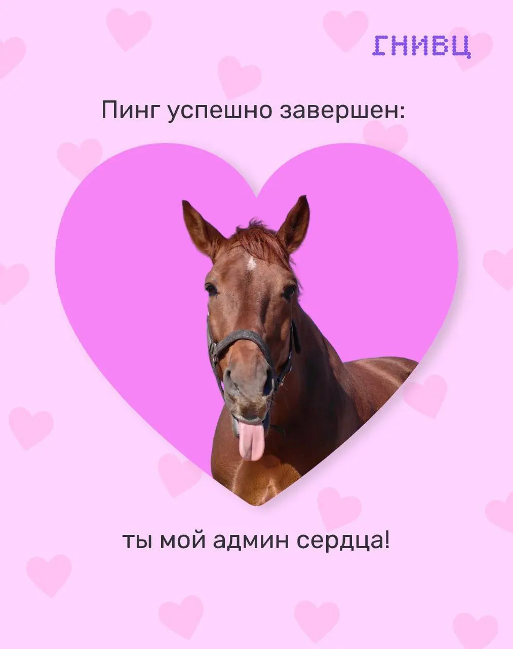Забудьте про Error 404: love not found!❤️
В IT-мире, оказывается, полным-полно романтики!
В преддверии Дня всех влюбленных мы попросили нашу команду поделиться фото своих домашних любимцев | Сетка — социальная сеть от hh.ru