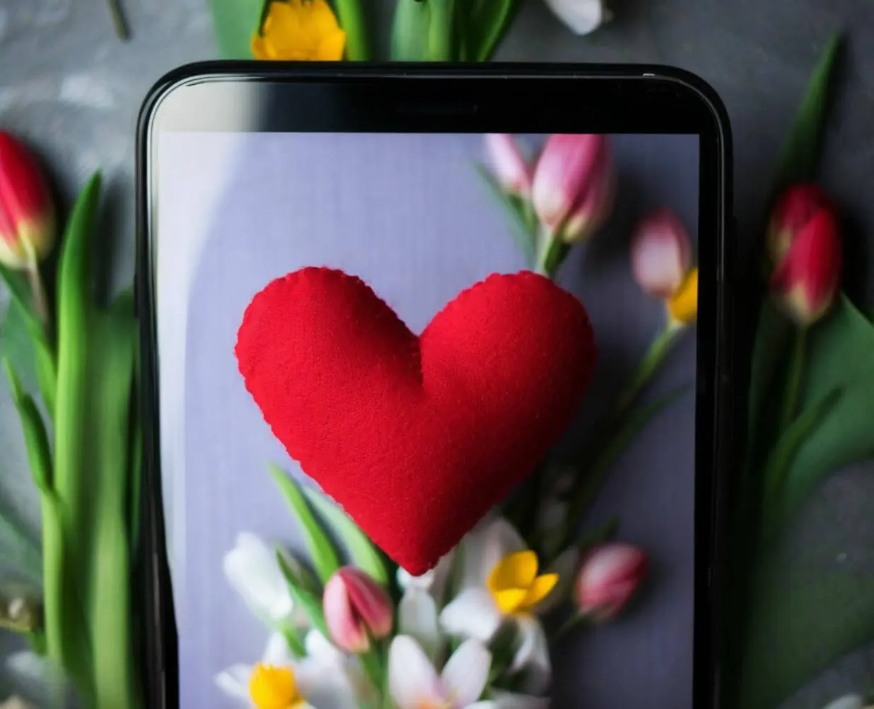 Дарите любовь - сегодня она особенно чувствуется в эфирах ❤️ | Сетка — социальная сеть от hh.ru