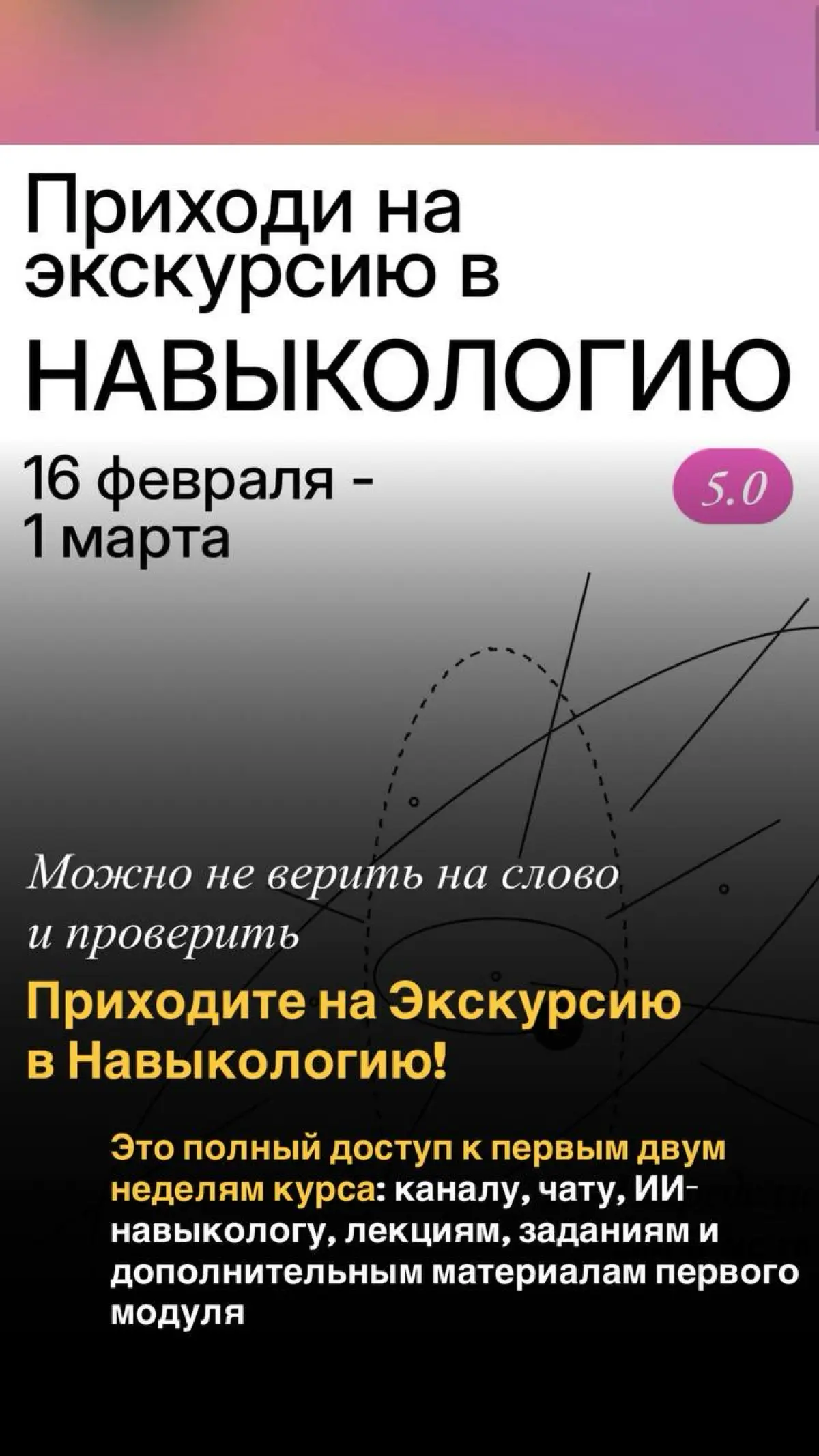 Навыкология стартует уже в понедельник! Показала в деталях как она устроена изнутри: расписание, платформа, канал, чат, формат заданий, как выглядят и где лежат лекции, что в конце
Можно оценить урове... | Сетка — социальная сеть от hh.ru