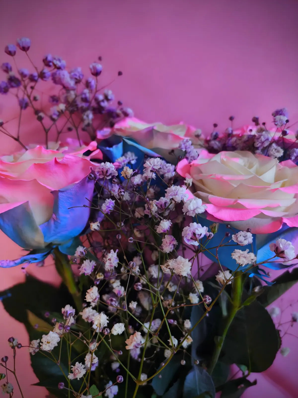 💐💌💘 | Сетка — социальная сеть от hh.ru