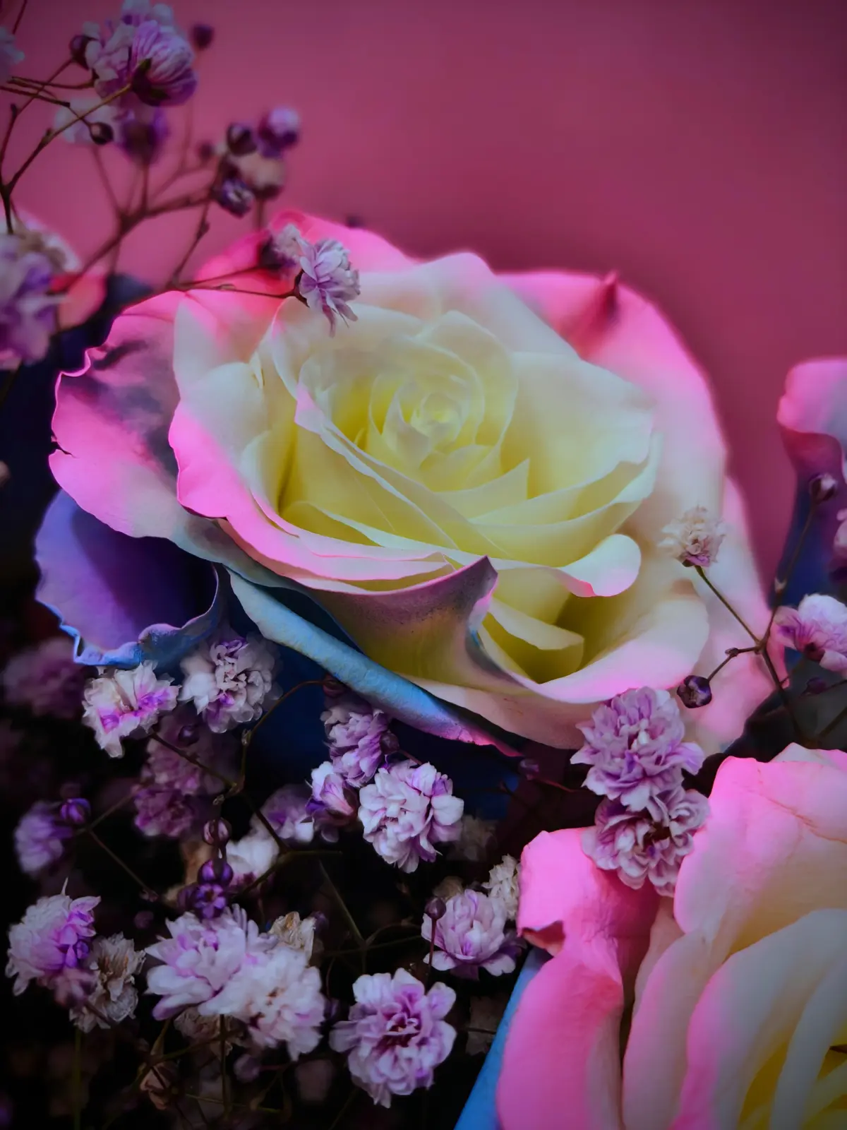 💐💌💘 | Сетка — социальная сеть от hh.ru