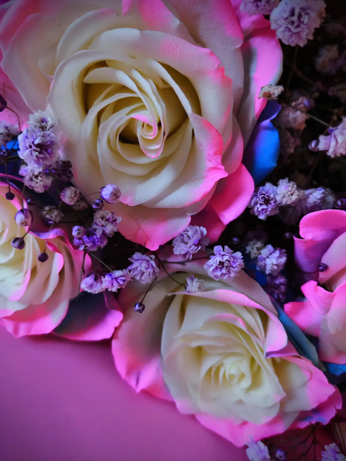 💐💌💘 | Сетка — социальная сеть от hh.ru