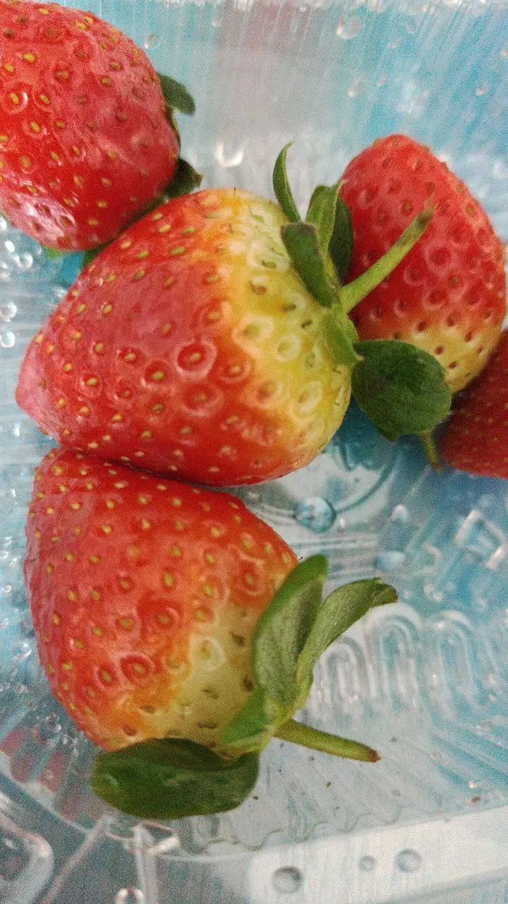 Вот такими Валентинками мы баловали близких. Вообщем вкусно и красиво. | Сетка — социальная сеть от hh.ru