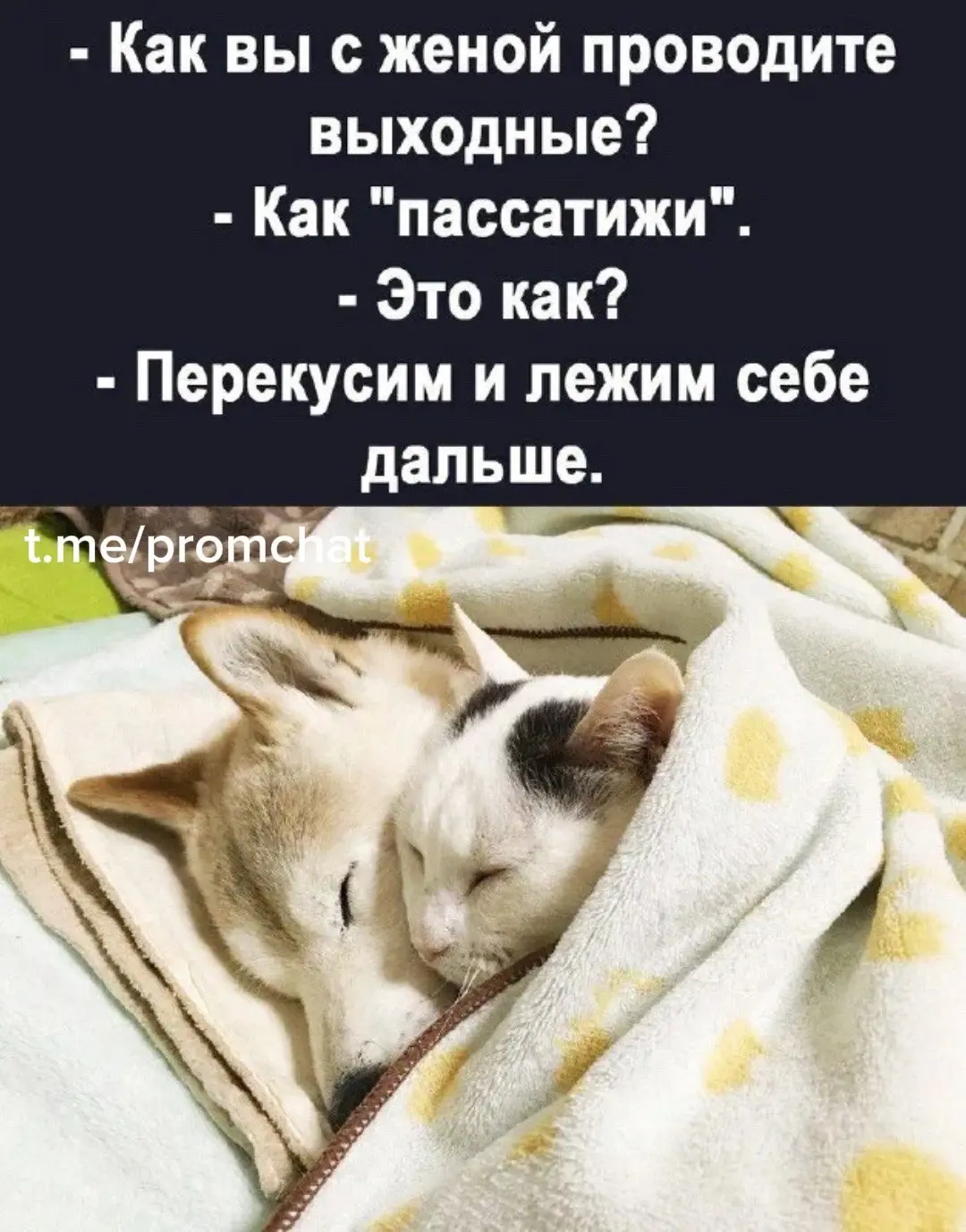 А как вы проводите выходные? | Сетка — социальная сеть от hh.ru