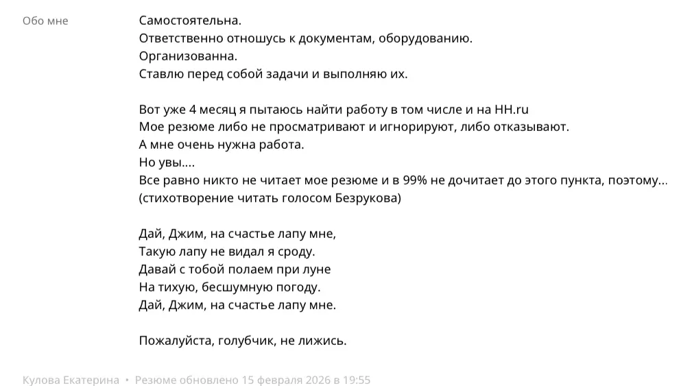 Обновила информацию в резюме в разделе о себе на хэхэточкару | Сетка — социальная сеть от hh.ru