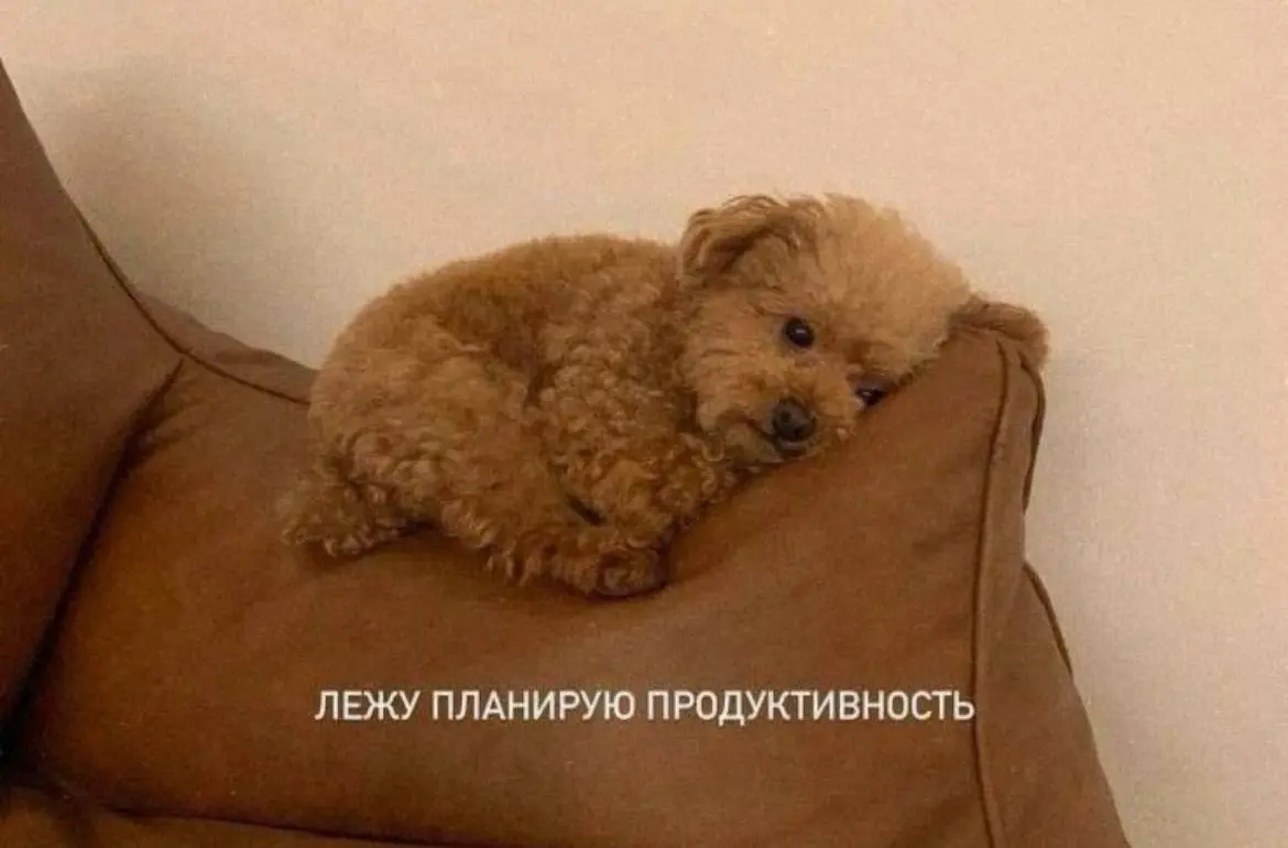 День 167 (мы прошли середину февраля!!!)
Пусть неделя пройдет спокойно 🌼
🔤 сделала 3 дела, которые долго откладывала
🔤 кушала вкусную печеньку
🔤 готовила что-то (что-то получилось, что-то нет)
🔤 нашаг... | Сетка — социальная сеть от hh.ru