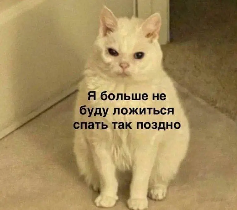 Утро начинается с последствий вчерашних решений ...
У вас как начался понедельник? 🤪 | Сетка — социальная сеть от hh.ru