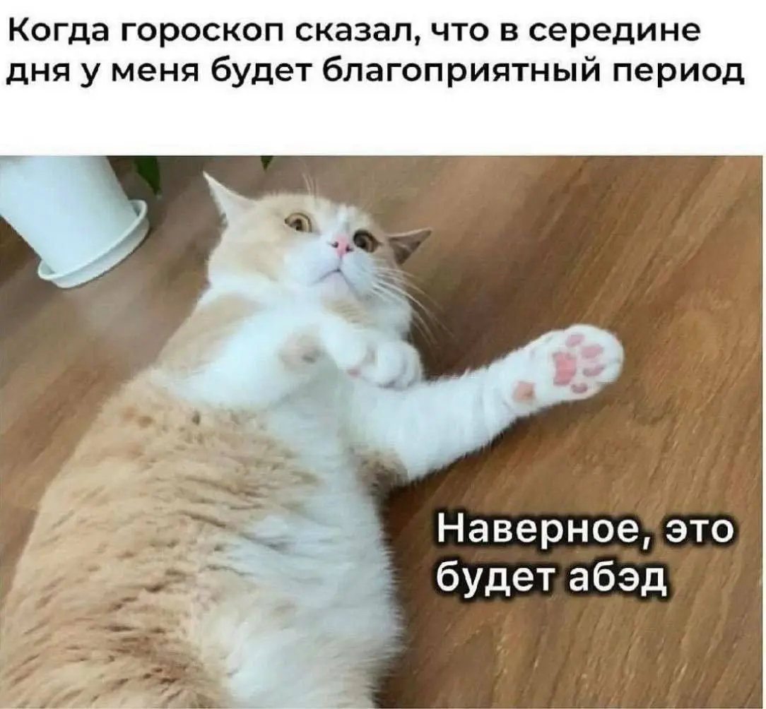 Что может быть лучше обеда 😂😂
#Юмор@poldner #Коты@poldner | Сетка — социальная сеть от hh.ru