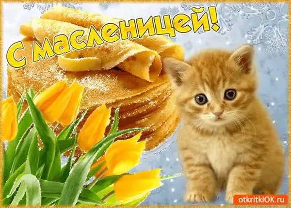 Поздравляю всех сетчан с масленицей 🥞 | Сетка — социальная сеть от hh.ru