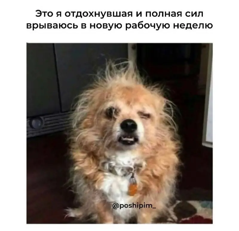 Заботливо напоминаю, что сегодня понедельник ❤️
С началом масленичной недели, друзья 🥞 | Сетка — социальная сеть от hh.ru